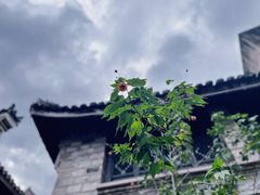 -紫阳古街