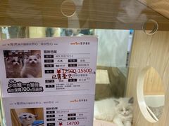 -屋虎猫馆(宝安大仟里店)