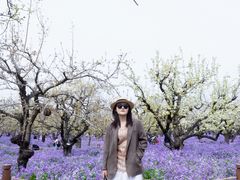 -江苏三台山国家森林公园
