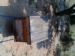 android_upload_pic-月亮湾公园