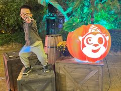 -郑州方特梦幻王国