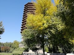 -玲珑塔公园