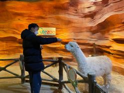 -酷嗒动物文化乐园(cutezoo西溪乐天城店)