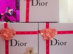-Dior迪奥(上海世茂广场店)