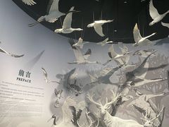 -中国湿地博物馆