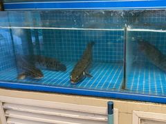 -鱼遇木桶斑鱼火锅(塔湾店)