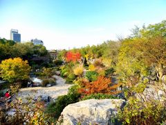 -上海吴淞炮台湾国家湿地公园
