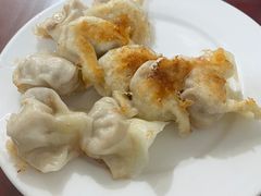 -东门饺子馆(少年宫路店)