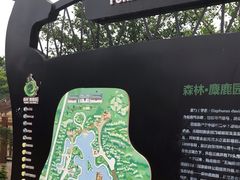 -日照海滨国家森林公园