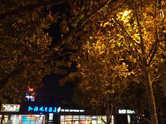 -BUS TOUR观光巴士
