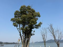 -晓琦农家菜馆·地道农家菜