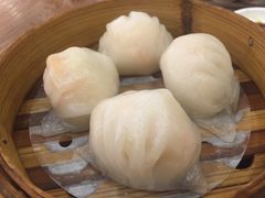-富豪酒家(正大广场店)
