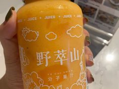 -野萃山·潮汕厚果汁(十亩地店)