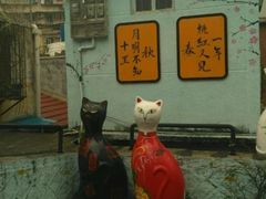 -猫咪博物馆(顶澳仔猫街店)