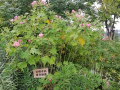 -那考河湿地公园