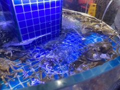 -五月罗马海鲜烤肉自助餐厅(印象城店)