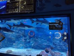 -烟台海昌鲸鲨海洋公园