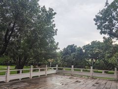 -荔枝公园(福田区)