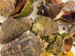 -必点蒸汽海鲜(止锚湾店)