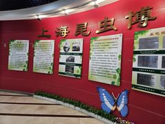 -上海昆虫博物馆