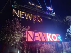 -纽扣NEWKO