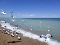 -青海湖国家重点风景名胜区