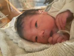 -杭州贝瑞斯美华妇儿医院·早孕·产检·儿科