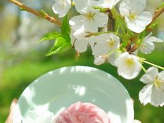 -王興記(中山路店)