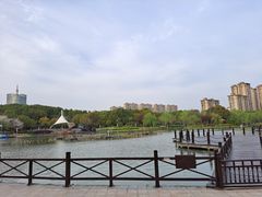 -桐乡植物园