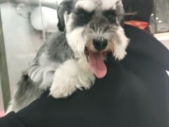 -宠福鑫康馨动物医院·骨科·眼科