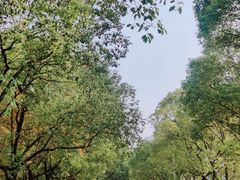 -艾溪湖湿地公园