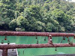 -鼎湖山风景区