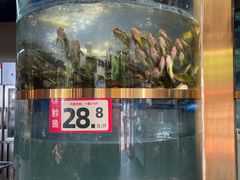 -蜀滋香鲜鱼美蛙火锅(339店)
