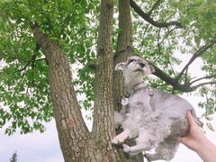 -艾溪湖湿地公园