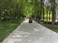 -华北军区烈士陵园