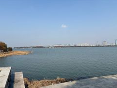 -长广溪湿地公园