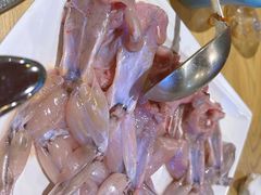 -铭记蛙小仙·活蛙畅享(CBD万达广场店)