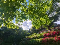 -红螺寺