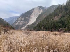 -九寨沟-树正沟