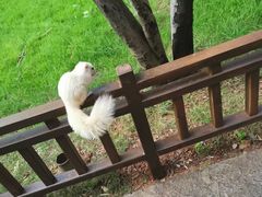 -昆明市金殿名胜区