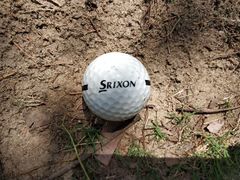 -金鸡湖高尔夫会员专属俱乐部