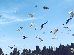 -龙口南山旅游景区