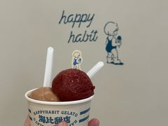 -海比甜店·意式手工冰激淋happy habit gelato
