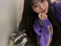 -浣熊柯尔鸭土拨鼠·电玩咖