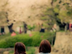 -广东茂名森林公园