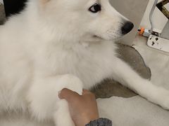 -共舞时光猫咖·狗咖(新街口店)