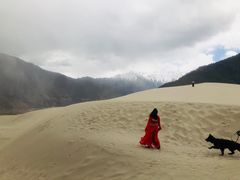 -佛掌沙丘
