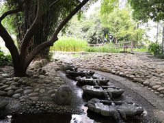 -成都市活水公园