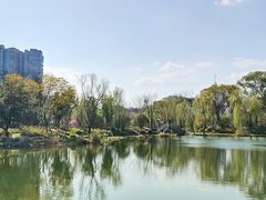 -北湖公园