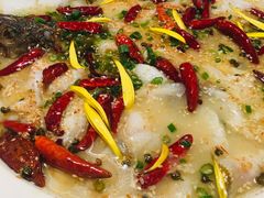 -江渔儿酸菜鱼(东厦一百店)